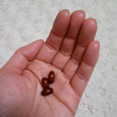 納豆キナーゼ03.jpg