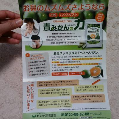 青みかん01.jpg